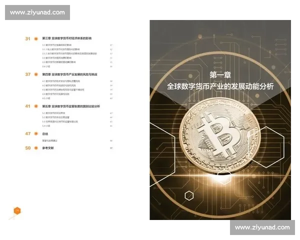 比特币引领全球数字金融新时代的机遇与风险深度解析