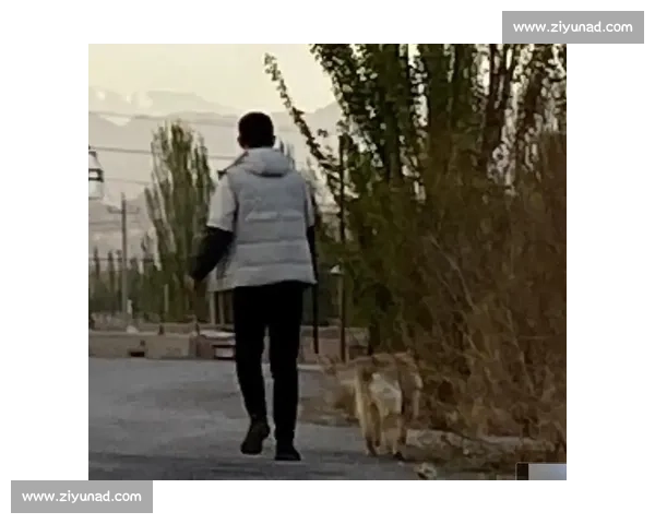 金毛犬精彩比赛瞬间汇集全方位呈现超燃高能精彩视频大全精华版集锦